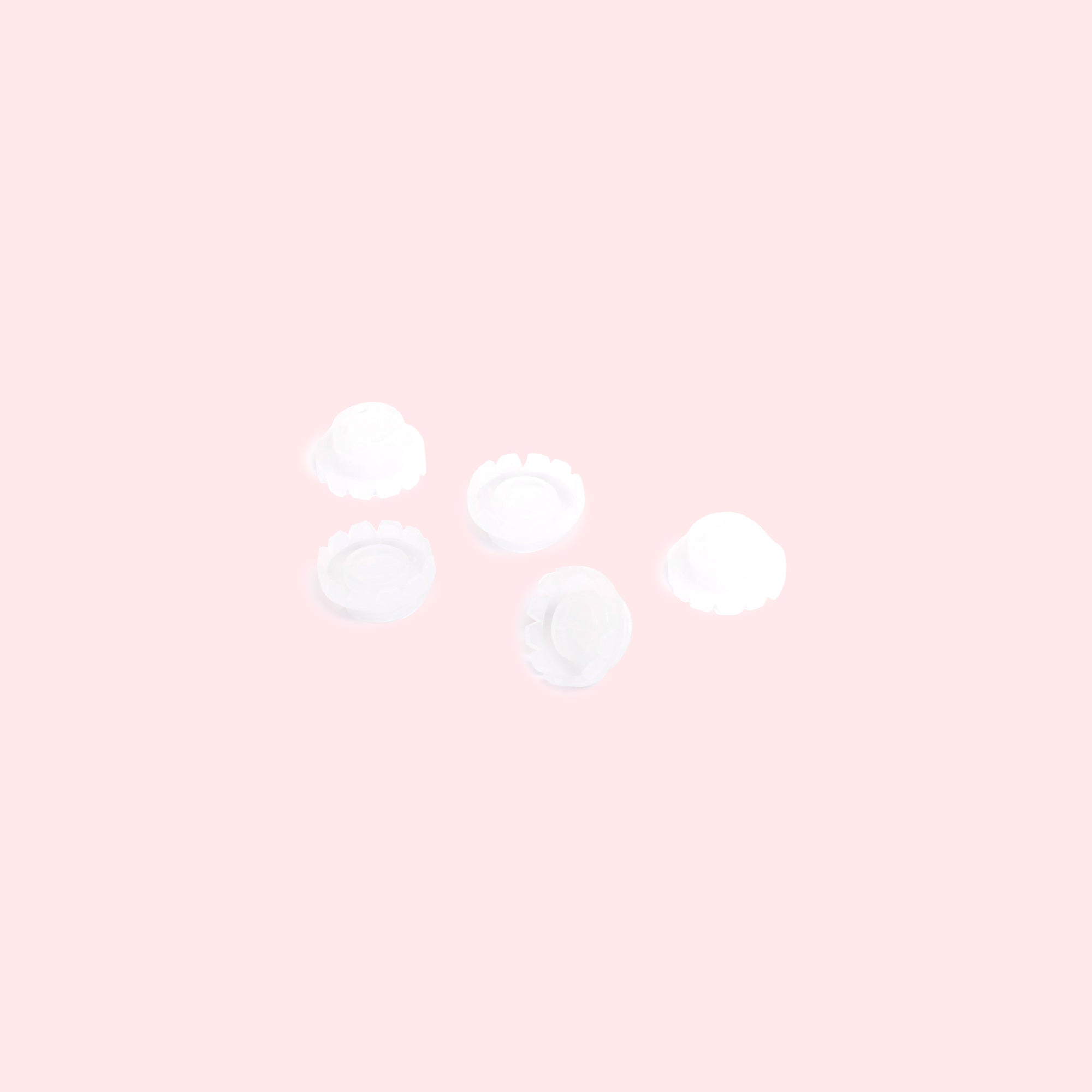 Flower Cups - Lash Heaven