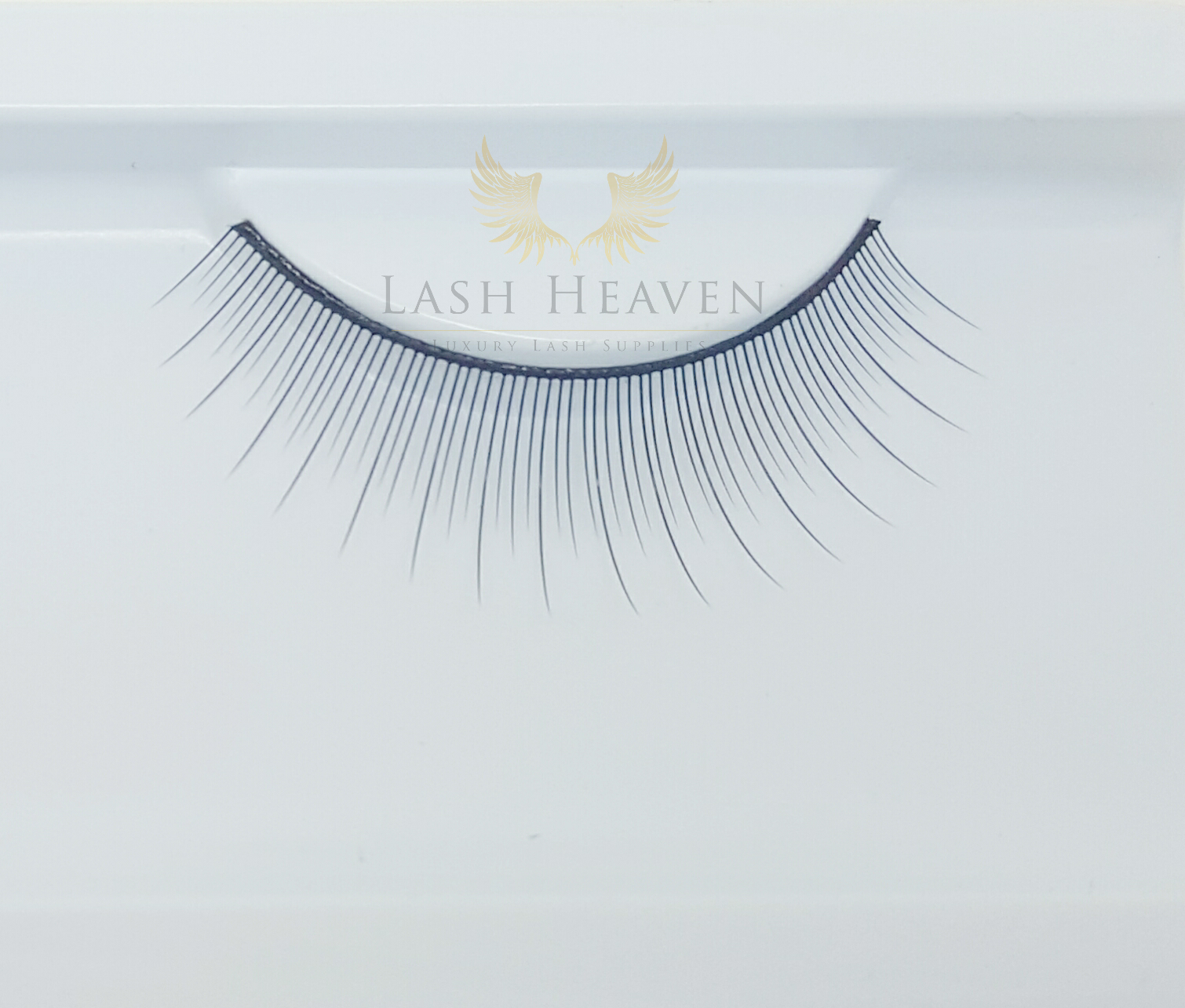 Training Lashes - 1 pair - Lash Heaven